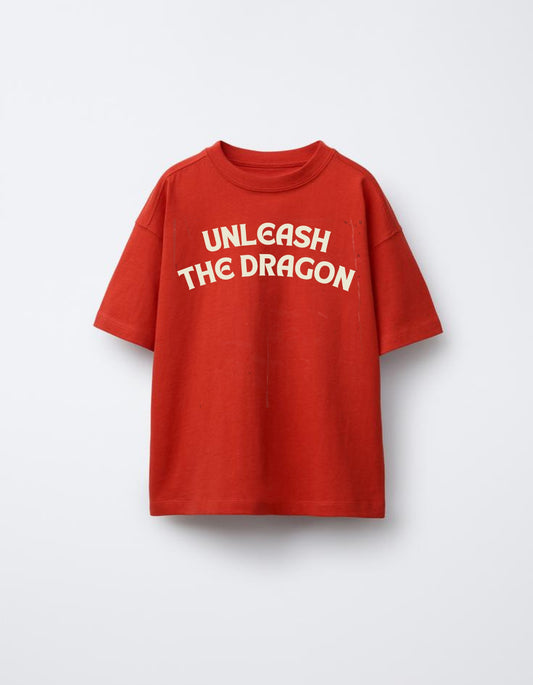 Unleash The Dragon Oversized T-shirt